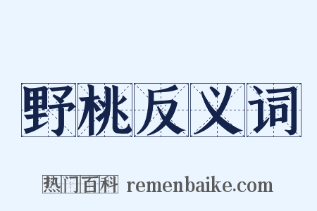 野桃反义词是什么意思的图片